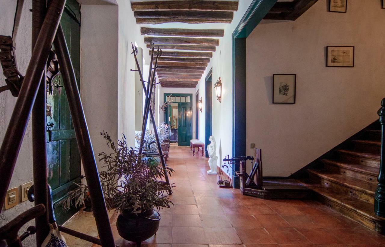Quinta Do Tojal Guest House Ferreira do Zezere Luaran gambar
